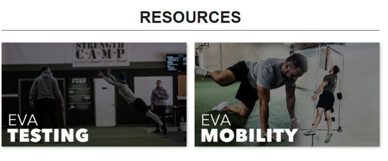 Top 10 Best Vertical Jump Training Programs 2023 [Expert Guide + Reviews]